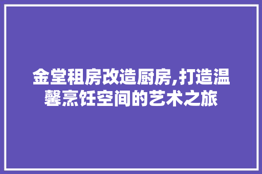金堂租房改造厨房,打造温馨烹饪空间的艺术之旅