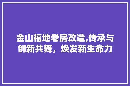 金山福地老房改造,传承与创新共舞，焕发新生命力