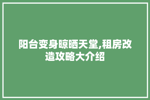 阳台变身晾晒天堂,租房改造攻略大介绍