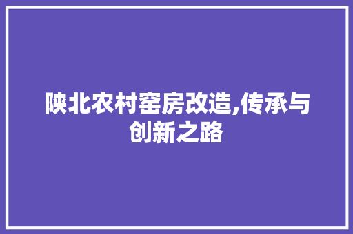 陕北农村窑房改造,传承与创新之路