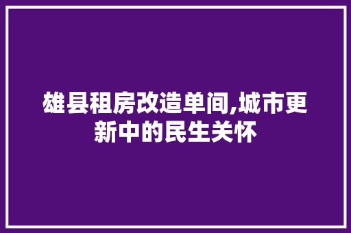 雄县租房改造单间,城市更新中的民生关怀