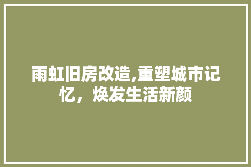 雨虹旧房改造,重塑城市记忆，焕发生活新颜