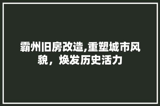 霸州旧房改造,重塑城市风貌，焕发历史活力