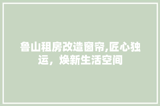 鲁山租房改造窗帘,匠心独运，焕新生活空间