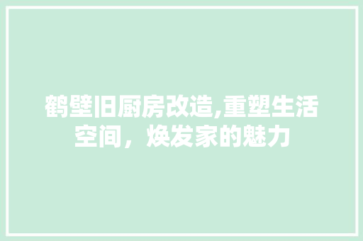 鹤壁旧厨房改造,重塑生活空间，焕发家的魅力