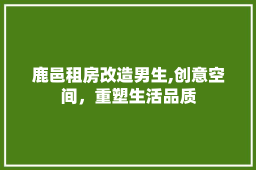 鹿邑租房改造男生,创意空间，重塑生活品质