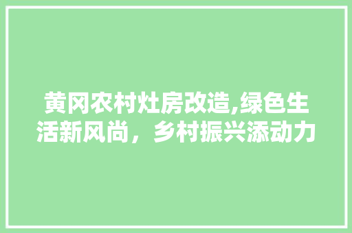 黄冈农村灶房改造,绿色生活新风尚，乡村振兴添动力