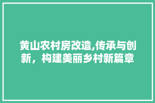 黄山农村房改造,传承与创新，构建美丽乡村新篇章
