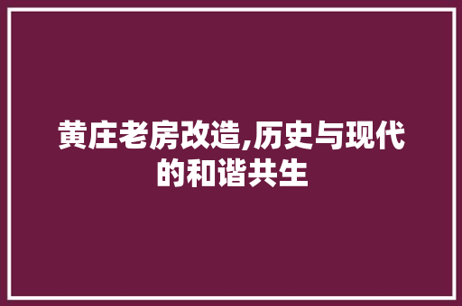 黄庄老房改造,历史与现代的和谐共生