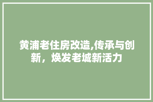 黄浦老住房改造,传承与创新，焕发老城新活力