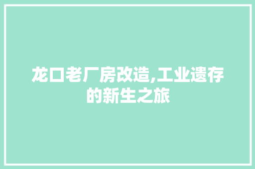 龙口老厂房改造,工业遗存的新生之旅