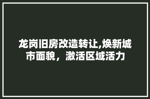 龙岗旧房改造转让,焕新城市面貌，激活区域活力