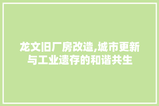 龙文旧厂房改造,城市更新与工业遗存的和谐共生