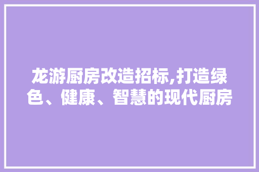 龙游厨房改造招标,打造绿色、健康、智慧的现代厨房新典范
