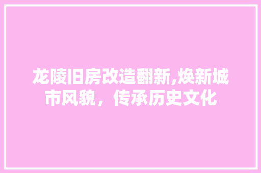 龙陵旧房改造翻新,焕新城市风貌，传承历史文化