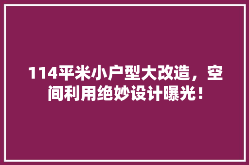 114平米小户型大改造，空间利用绝妙设计曝光！