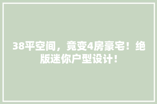 38平空间，竟变4房豪宅！绝版迷你户型设计！