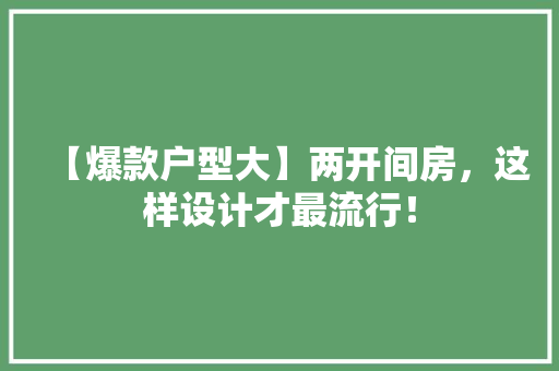 【爆款户型大】两开间房，这样设计才最流行！