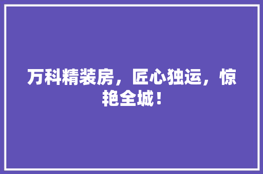 万科精装房，匠心独运，惊艳全城！