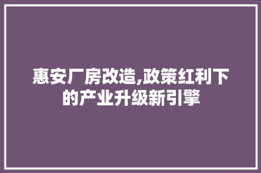 惠安厂房改造,政策红利下的产业升级新引擎