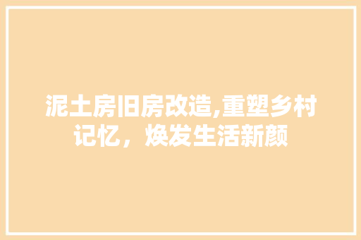 泥土房旧房改造,重塑乡村记忆，焕发生活新颜