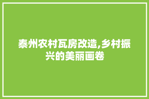 泰州农村瓦房改造,乡村振兴的美丽画卷