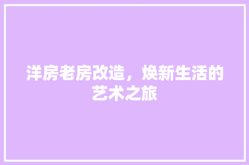 洋房老房改造，焕新生活的艺术之旅