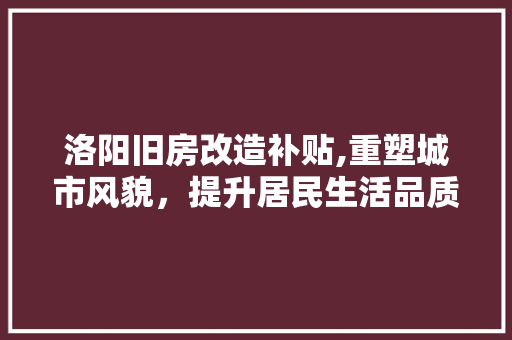 洛阳旧房改造补贴,重塑城市风貌，提升居民生活品质