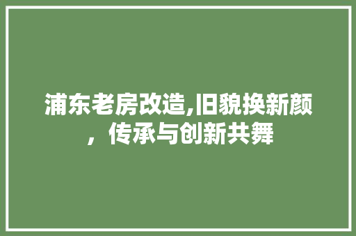 浦东老房改造,旧貌换新颜，传承与创新共舞