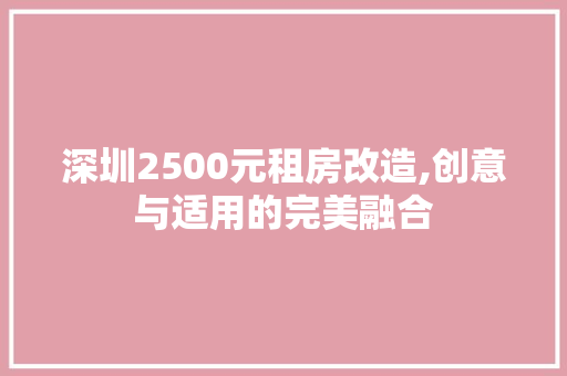深圳2500元租房改造,创意与适用的完美融合
