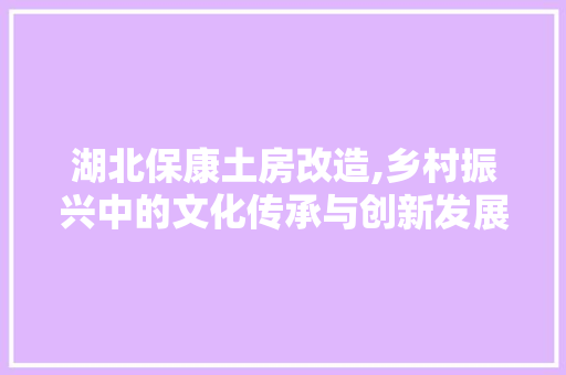 湖北保康土房改造,乡村振兴中的文化传承与创新发展
