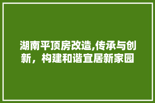 湖南平顶房改造,传承与创新，构建和谐宜居新家园