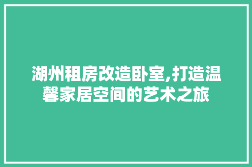 湖州租房改造卧室,打造温馨家居空间的艺术之旅