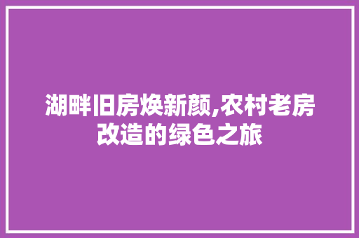 湖畔旧房焕新颜,农村老房改造的绿色之旅