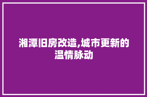 湘潭旧房改造,城市更新的温情脉动