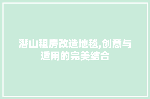 潜山租房改造地毯,创意与适用的完美结合
