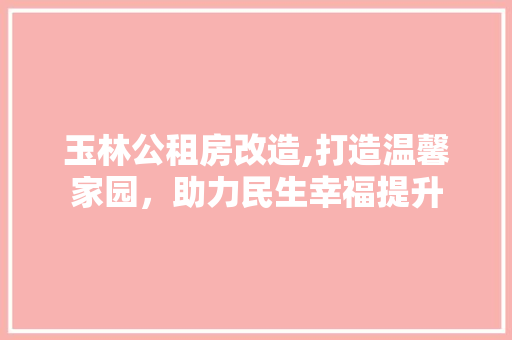 玉林公租房改造,打造温馨家园，助力民生幸福提升