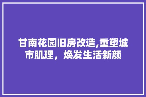 甘南花园旧房改造,重塑城市肌理，焕发生活新颜