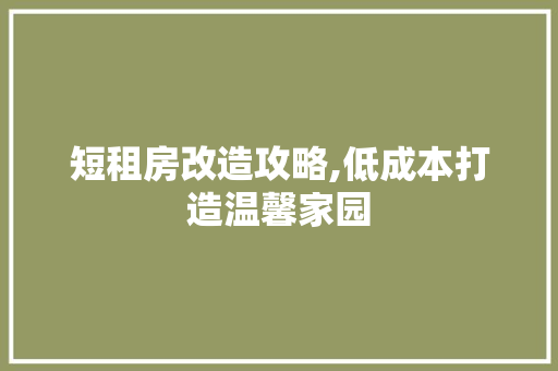 短租房改造攻略,低成本打造温馨家园