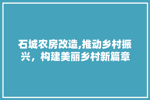 石城农房改造,推动乡村振兴，构建美丽乡村新篇章
