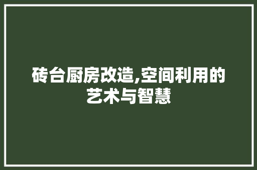 砖台厨房改造,空间利用的艺术与智慧