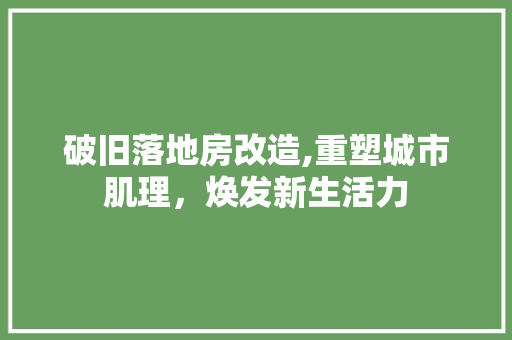 破旧落地房改造,重塑城市肌理，焕发新生活力