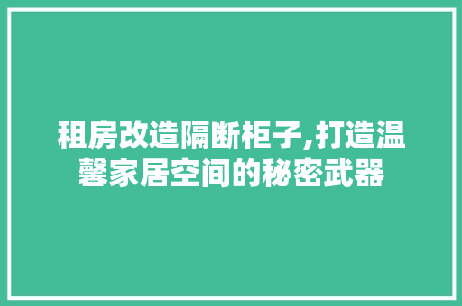 租房改造隔断柜子,打造温馨家居空间的秘密武器