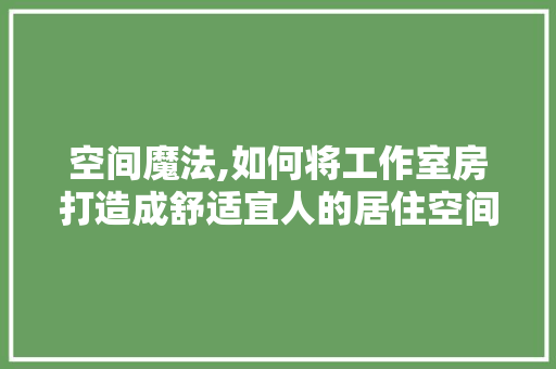 空间魔法,如何将工作室房打造成舒适宜人的居住空间