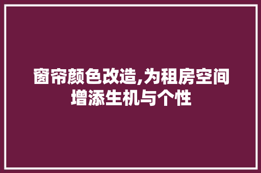 窗帘颜色改造,为租房空间增添生机与个性