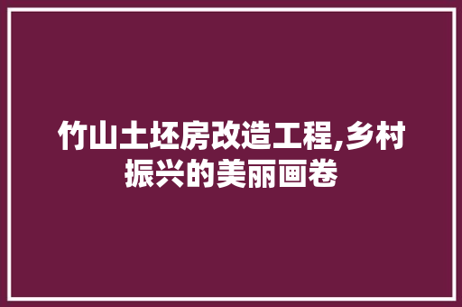 竹山土坯房改造工程,乡村振兴的美丽画卷