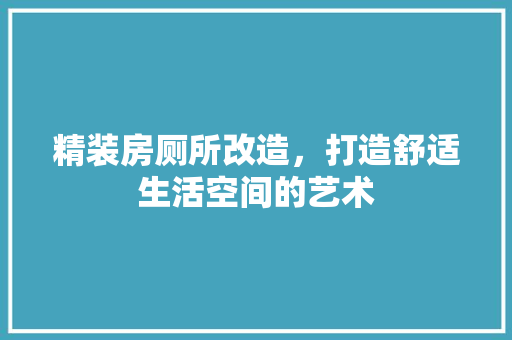 精装房厕所改造，打造舒适生活空间的艺术