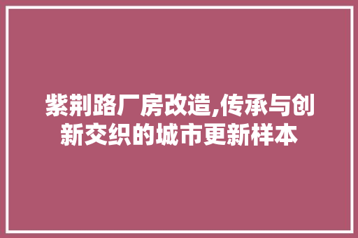 紫荆路厂房改造,传承与创新交织的城市更新样本