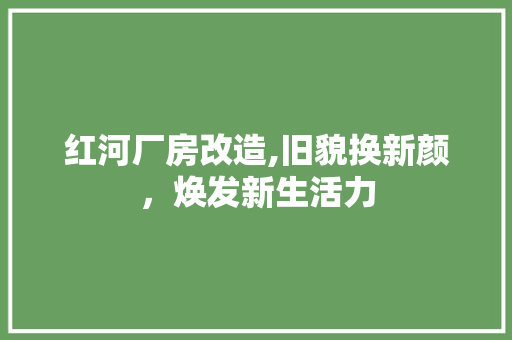 红河厂房改造,旧貌换新颜，焕发新生活力
