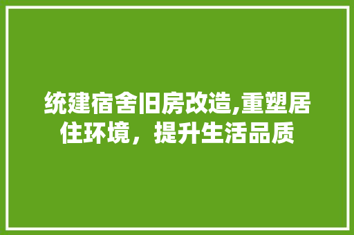 统建宿舍旧房改造,重塑居住环境，提升生活品质